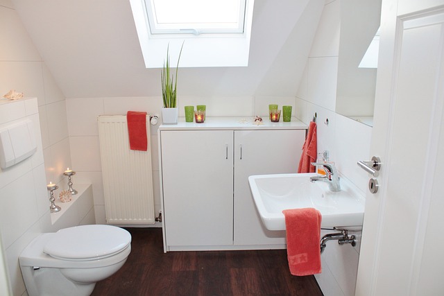 Moderne ontwerptrends in het toilet voor commerciële ruimtes